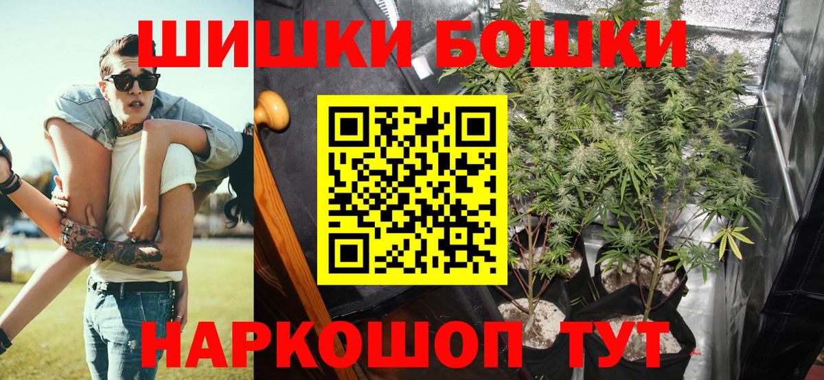 Канабис White Widow  Конопля план  Вход с VPN  Шишки марихуана конопля  Железногорск 